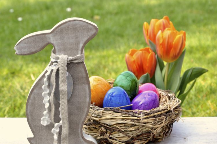 Das Gelbe vom Ei zu Ostern